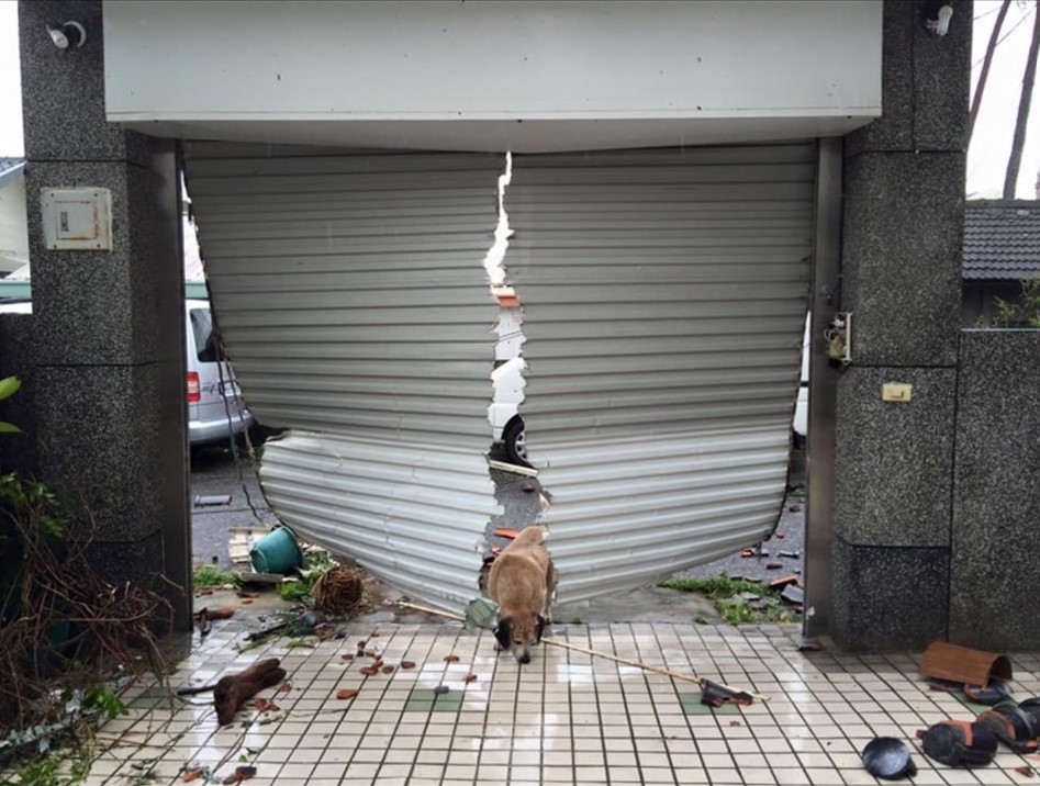 High speed door_no wind resistance device